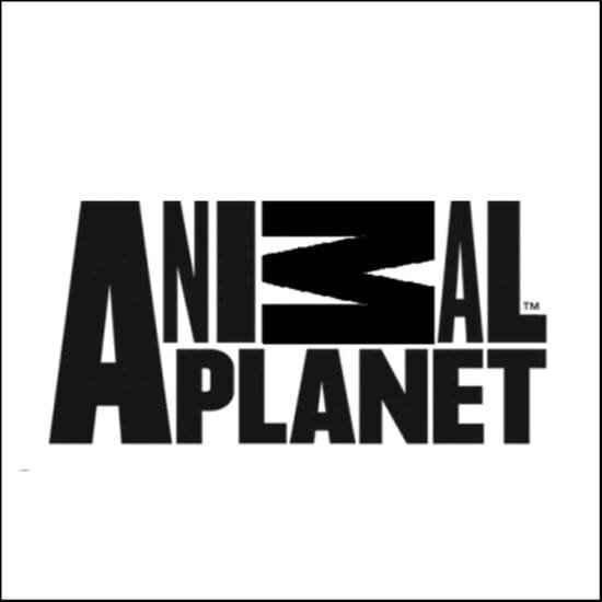 animal planet logo