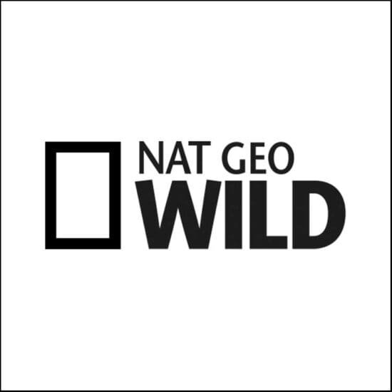 Nat Geo Wild logo